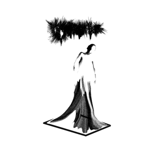 Cryptae – Vestigal