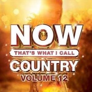 V/A – Now That's What I Call Country Vol.12
