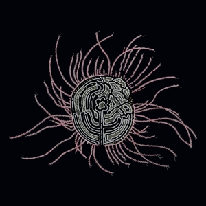 Baird, Ka – Bearings: Soundtrack For the Bardos