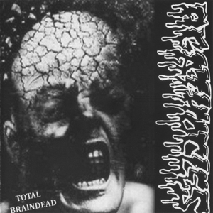 Agathocles – Split
