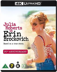 Movie – Erin Brockovich