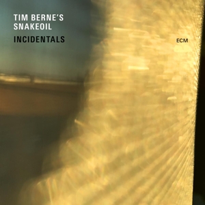Berne's Snakeoil, Tim – Incidentals