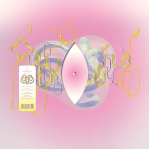 Bjork – Lionsong (Kareokieijd Remix By Mica Levi)