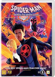 Animation – Spider-Man - Across the Spider-Verse