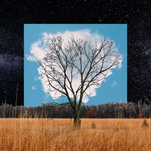 Fink – Bloom Innocent