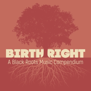 V/A – Birthright: a Black Roots Music Compendium