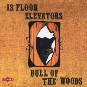 13th Floor Elevators – Bull of the Woods