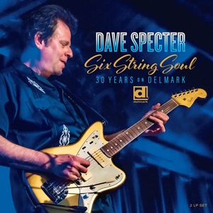Specter, Dave & Lenny Lynn – Six String Soul. 30 Years On Delmark