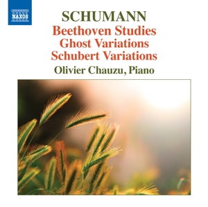 Stutzmann, Nathalie – Beethoven Studies