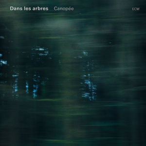 Dans Les Arbres – Canopee