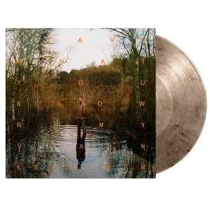 Kesteren, Remy Van – Leave What You Know