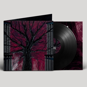 Radien – Unissa Palaneet