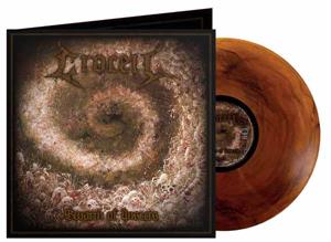 Crocell – Swarm of Insects