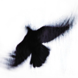 Blueneck – Fallen Host