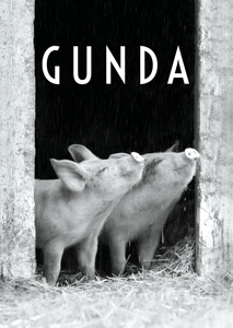 Documentary – Gunda