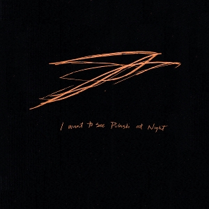 Bird, Andrew – I Want To See Pulaski At Night
