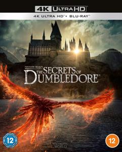 Movie – Fantastic Beasts: the Secrets of Dumbledore