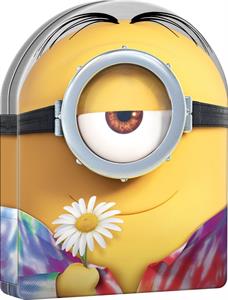 Animation – Despicable Me/Despicable Me 2/Minions
