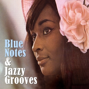 Various – Blue Notes & Jazzy Grooves