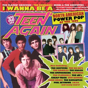 V/A – I Wanna Be a Teen Again American Power Pop 1980-1989