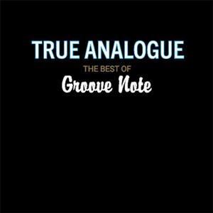 V/A – True Analogue