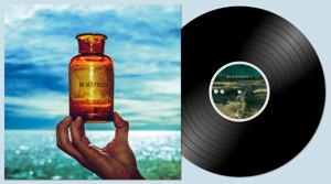 Blackfield – V