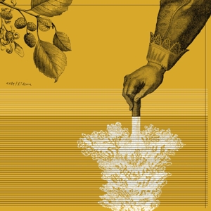 Tape – Rideau