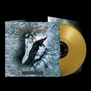 Borknagar – Olden Domain