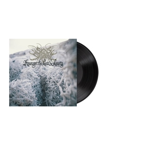 Signs of the Swarm – Amongst the Low & Empty