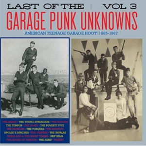 V/A – Last of the Garage Punk Unknowns 3