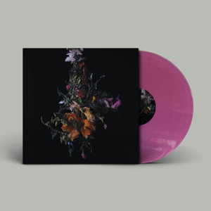 Big Brave – Nature Morte