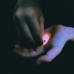 Bambara – Stray