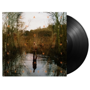 Kesteren, Remy Van – Leave What You Know