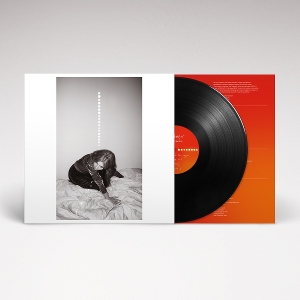 Holter, Julia – Materia