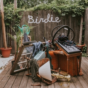 Dog Slaughter Beach – Birdie