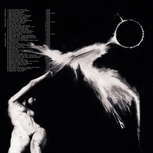 Dedekind Cut – Tahoe