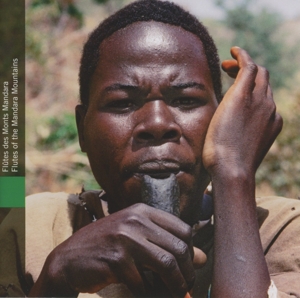 Various – Cameroun - Musiciens Traditionells