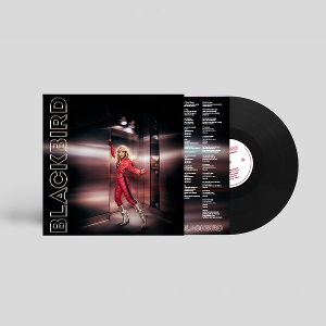 Blackbird – Do You Read Me!