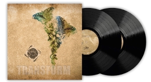 Robby and the Secret – Transform
