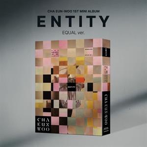 Cha, Eun-Woo – Entity