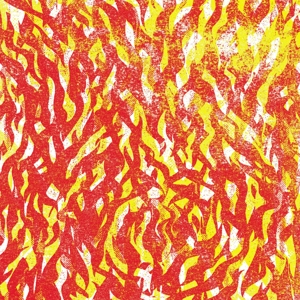 Bug – Fire