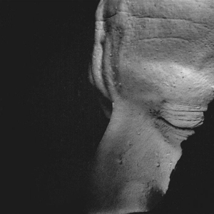 Chve – Rasa