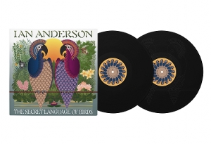 Anderson, Ian – The Secret Language of Birds