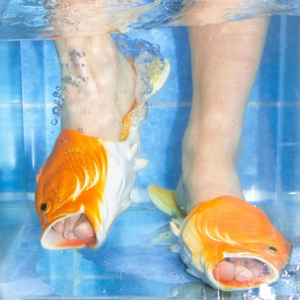 Brockhoff – Sharks