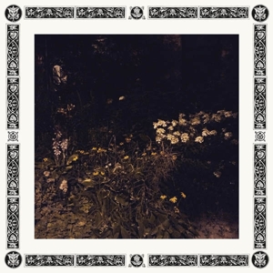 Davachi, Sarah – Pale Bloom
