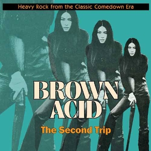 V/A – Brown Acid: Second Trip