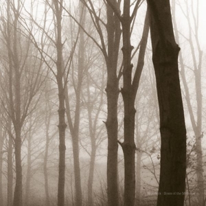 Blueneck – Scars of the Midwest