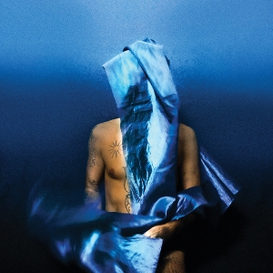 Banhart, Devendra – Flying Wig