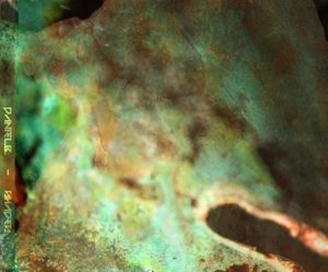 Daniel B. – Shades