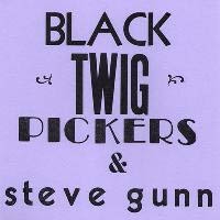 Black Twig Pickers – Lonesome Valley